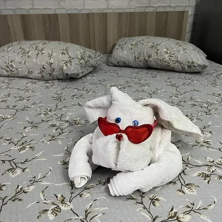 Sofia House ゲストハウス コンスタンツァ