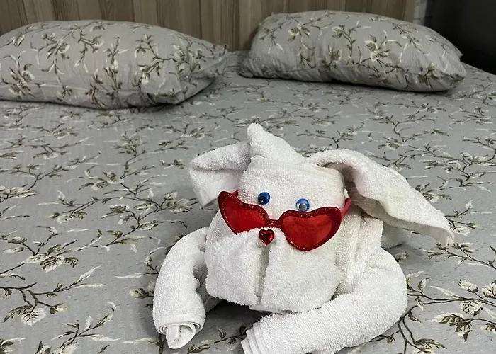 Sofia House ゲストハウス コンスタンツァ