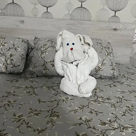 Affittacamere Sofia House